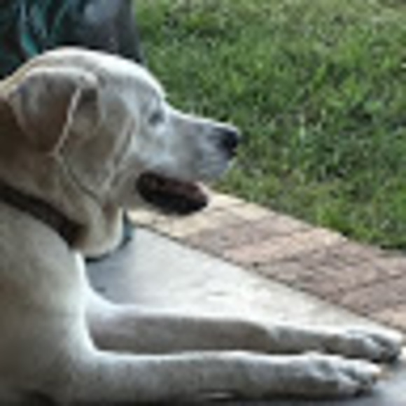 Meet your Posher, Lori - Picture 1 of 1